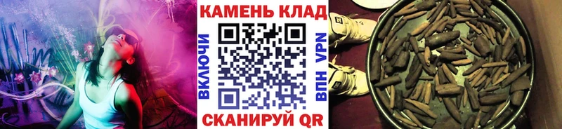закладки  Губкинский  ГАШ Ice-O-Lator 