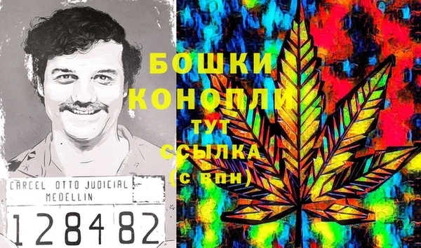 mix Белокуриха