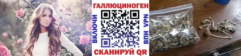 Галлюциногенные грибы ЛСД  маркетплейс как зайти  Губкинский 